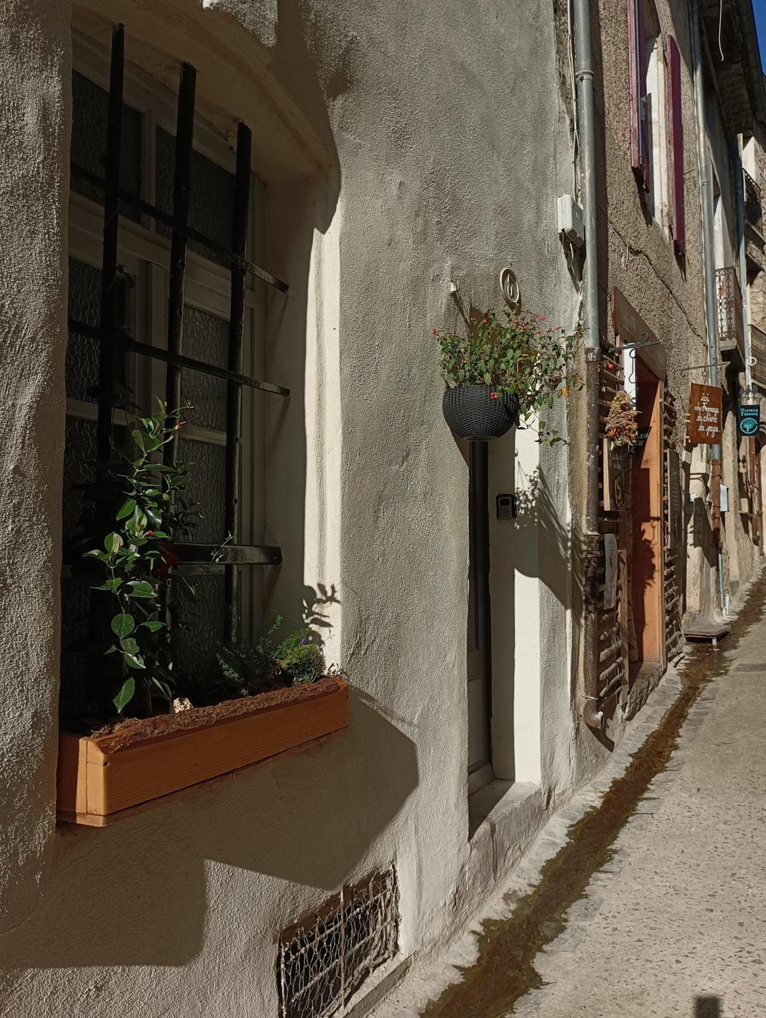 La Maison De La Traverse Saint-Guilhem-le-Desert Zewnętrze zdjęcie